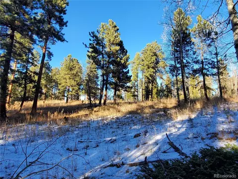 Richmond Hill Rd, Conifer, CO 80433 photo 10