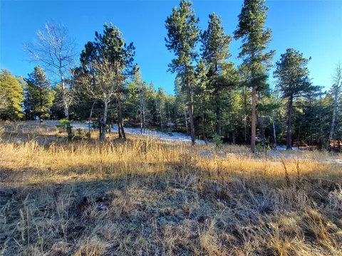 Richmond Hill Rd, Conifer, CO 80433 photo 9