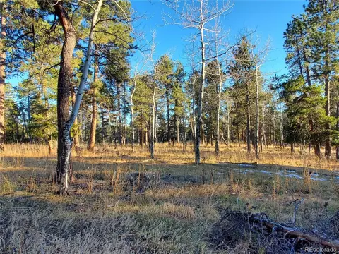 Richmond Hill Rd, Conifer, CO 80433 photo 13