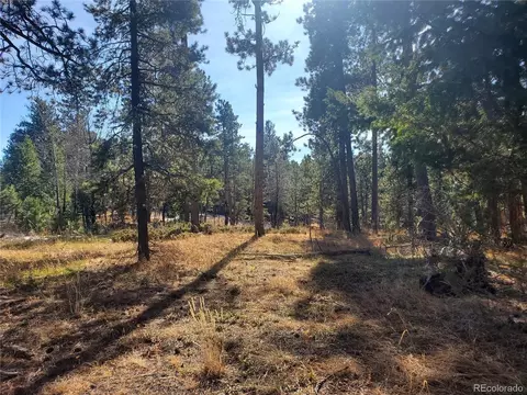 Richmond Hill Rd, Conifer, CO 80433 photo 6