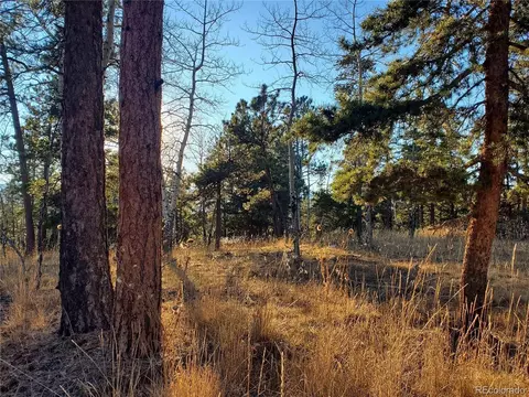 Richmond Hill Rd, Conifer, CO 80433 photo 16