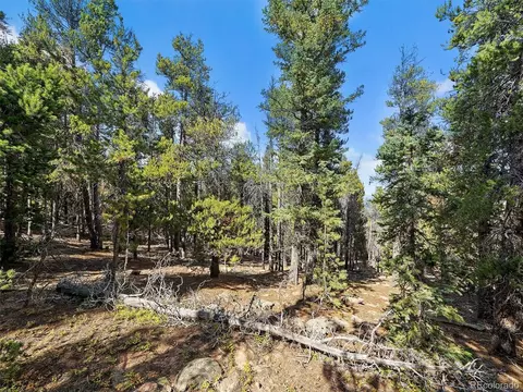 0 Edward Dr, Conifer, CO 80433 photo 9