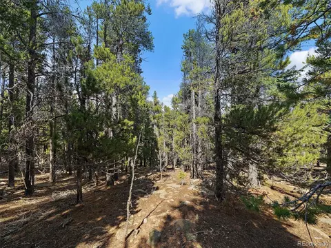 0 Edward Dr, Conifer, CO 80433 photo 10