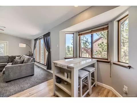 49 Silver Springs Rd, Bailey, CO 80421 photo 8