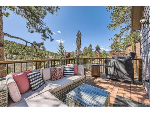 49 Silver Springs Rd, Bailey, CO 80421 photo 2