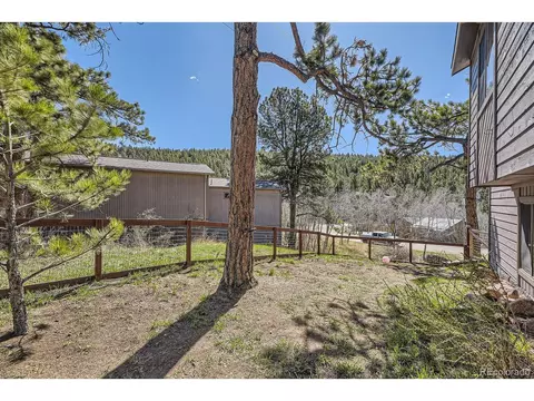 49 Silver Springs Rd, Bailey, CO 80421 photo 20