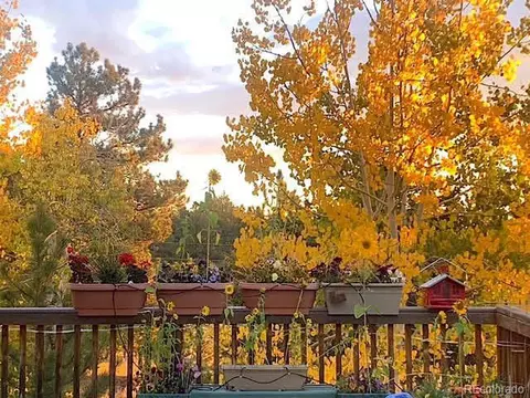 975 Windmill Dr, Hartsel, CO 80449 photo 3
