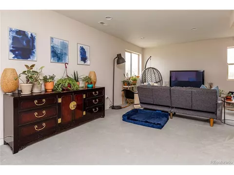 19150 E 54th Pl, Denver, CO 80249 photo 36