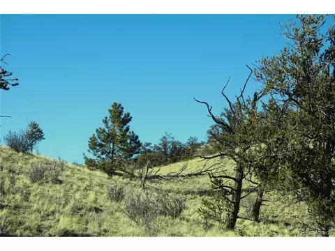 Undisclosed, Hartsel, CO 80449 photo 9