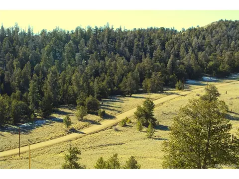 Undisclosed, Hartsel, CO 80449 photo 15