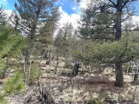 396 La Plata Dr, Hartsel, CO 80449