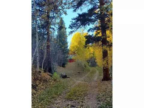 222 Road P60, Bailey, CO 80421 photo 19