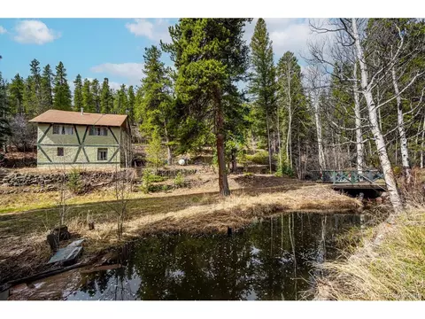 222 Road P60, Bailey, CO 80421 photo 23