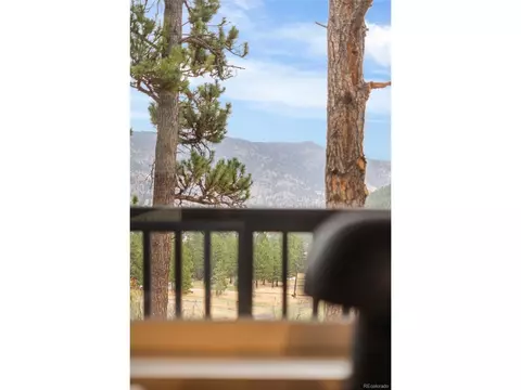 Other - 96 Moose Rd, Lyons, CO 80540 photo 6 of 8