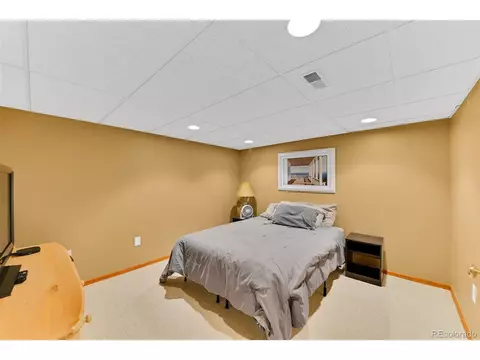 2585 E 125th Pl, Thornton, CO 80241 photo 24