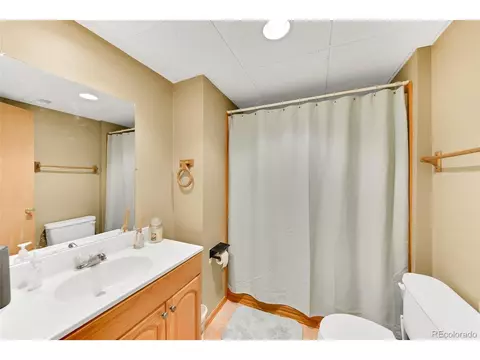 2585 E 125th Pl, Thornton, CO 80241 photo 25
