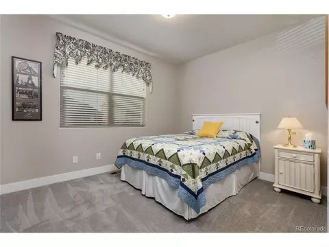 5942 Clarence Dr, Windsor, CO 80550 photo 18