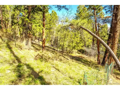 239 Catamount Ridge Rd, Bailey, CO 80421 photo 42