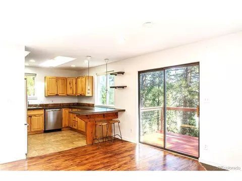 239 Catamount Ridge Rd, Bailey, CO 80421 photo 11