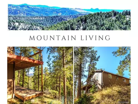 239 Catamount Ridge Rd, Bailey, CO 80421