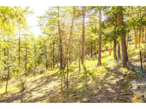 239 Catamount Ridge Rd, Bailey, CO 80421 photo 6