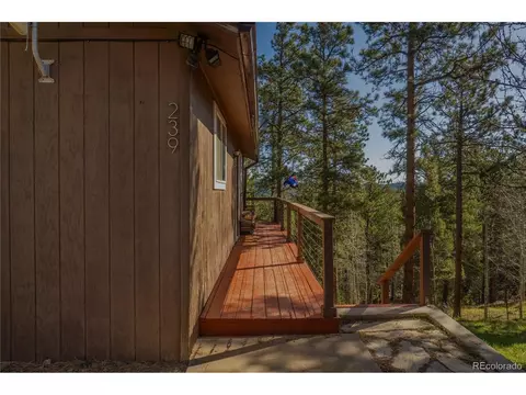239 Catamount Ridge Rd, Bailey, CO 80421 photo 8