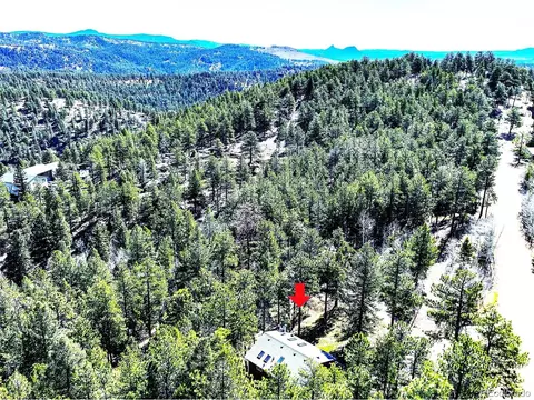 239 Catamount Ridge Rd, Bailey, CO 80421 photo 3