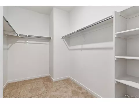 825 Elias Tarn Dr, Severance, CO 80550 photo 28
