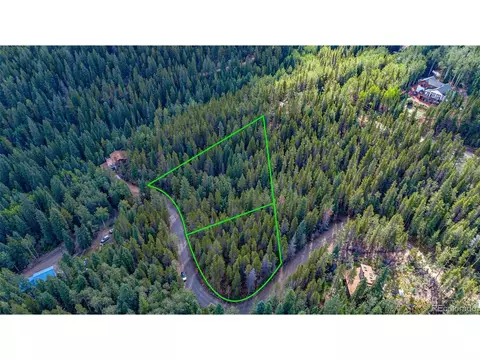 4 Ridge View Trl, Idaho Springs, CO 80452