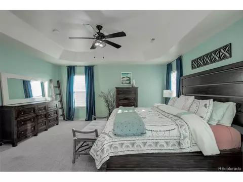 634 Camberly Ct, Windsor, CO 80550 photo 22