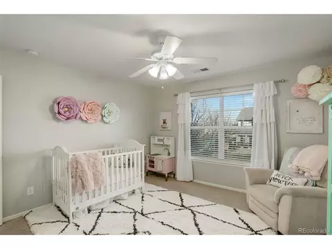 634 Camberly Ct, Windsor, CO 80550 photo 33