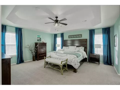 634 Camberly Ct, Windsor, CO 80550 photo 23