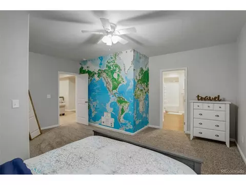 634 Camberly Ct, Windsor, CO 80550 photo 42