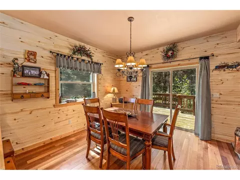 608 Snowshoe Ln, Cimarron, CO 81220 photo 5