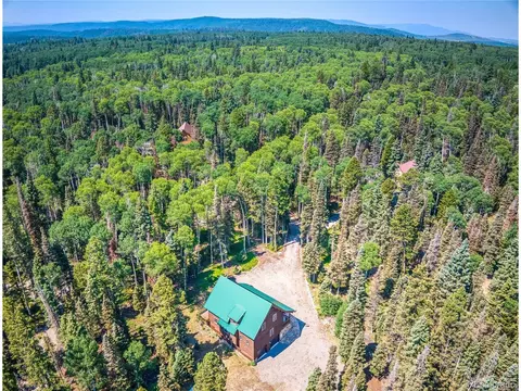 608 Snowshoe Ln, Cimarron, CO 81220 photo 45