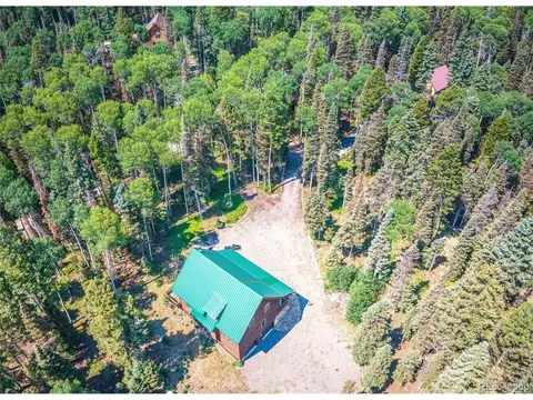 608 Snowshoe Ln, Cimarron, CO 81220 photo 46