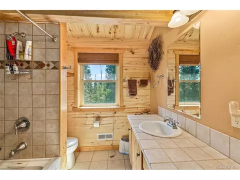 608 Snowshoe Ln, Cimarron, CO 81220 photo 19