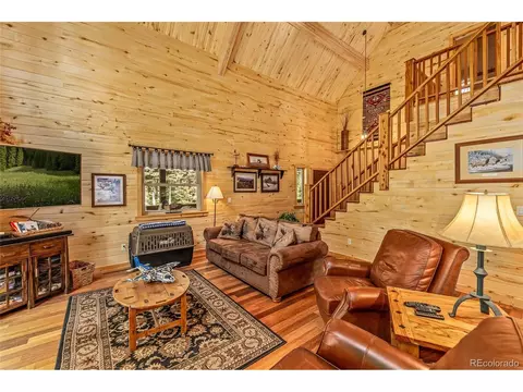 608 Snowshoe Ln, Cimarron, CO 81220 photo 4