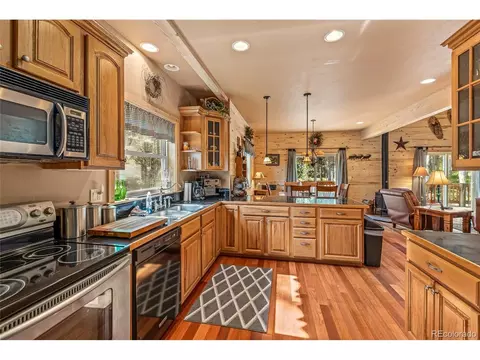 608 Snowshoe Ln, Cimarron, CO 81220 photo 9