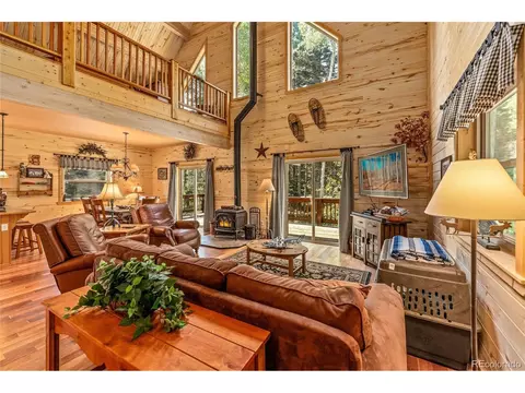 608 Snowshoe Ln, Cimarron, CO 81220 photo 3