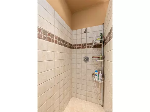 608 Snowshoe Ln, Cimarron, CO 81220 photo 12