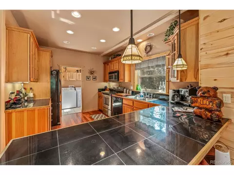 608 Snowshoe Ln, Cimarron, CO 81220 photo 7