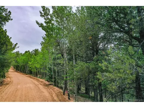 773 Timber Ridge Rd, Divide, CO 80814