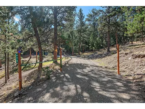 475 Chickadee Ln, Bailey, CO 80421 photo 6