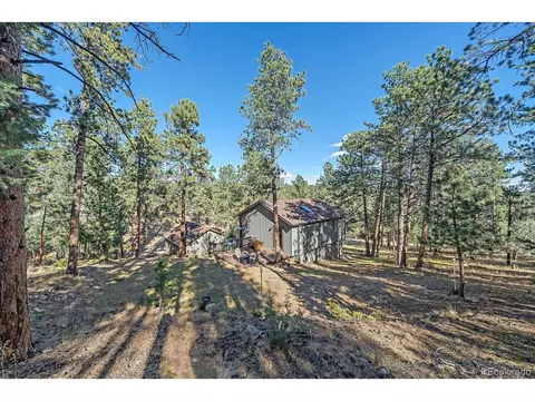 475 Chickadee Ln, Bailey, CO 80421 photo 23