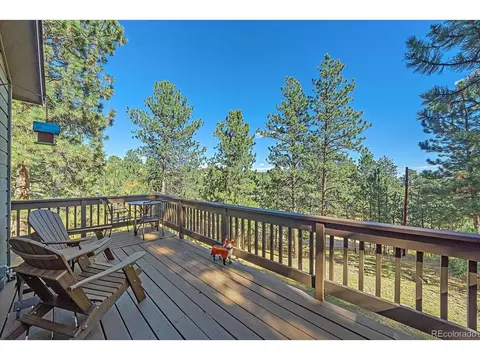 475 Chickadee Ln, Bailey, CO 80421 photo 21