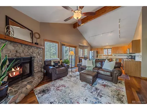 475 Chickadee Ln, Bailey, CO 80421 photo 2