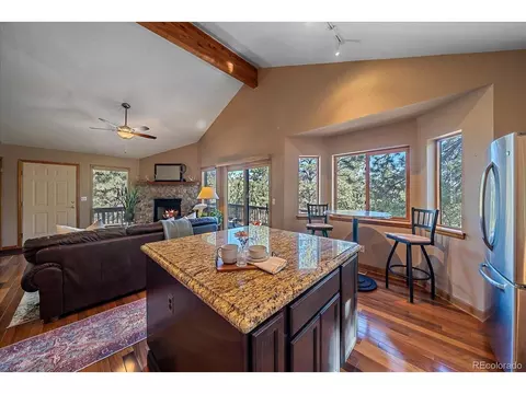 475 Chickadee Ln, Bailey, CO 80421 photo 14