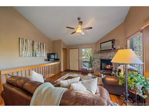 475 Chickadee Ln, Bailey, CO 80421 photo 11