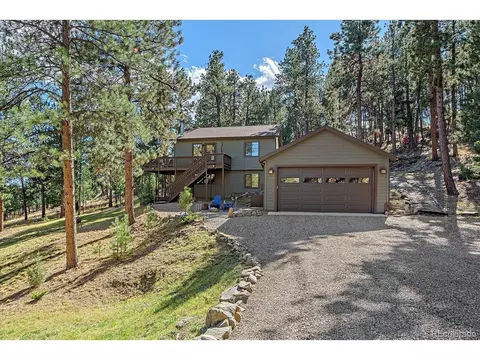 475 Chickadee Ln, Bailey, CO 80421